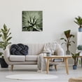 thumbnail image 3 of Stupell Industries Succulent Plant Lush Leaves Botanical & Floral Painting Gallery Wrapped Canvas Print Wall Art, 3 of 5