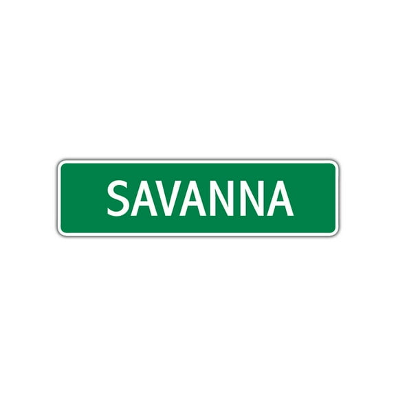 Savanna Girls Children Indoor Outdoor Unique Name Letter Printed Label Wall Plaque Decoration Aluminum Metal Sign 4"x13.5"