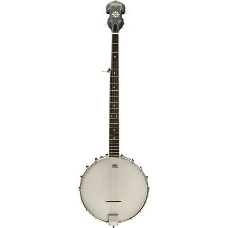 Washburn 5-string Open Back Banjo (Best Open Back Banjo)