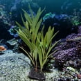 thumbnail image 2 of Simulación de plantas subacuáticas, tanque de peces, decoración de acuario de hierba de agua de plástico falso Hugtrwg Para estrenar, 2 of 8