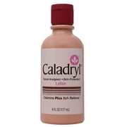 Caladryl Skin Protectant Lotion, Calamine + Itch Reliever, 6 fl oz.