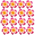 thumbnail image 1 of 100x boda Frangipani espuma flotante Plumeria cabezas de flores artesanía DIY pinzas para el cabello Rosa roja Zulema Decoración de fiesta de boda, 1 of 5