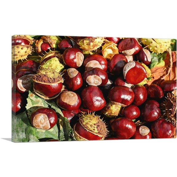 ARTCANVAS Chestnuts Home decor Canvas Art Print - Size: 26" x 18" (0.75" Deep)