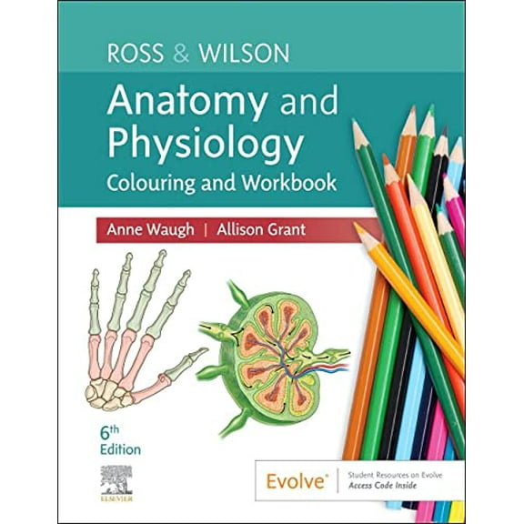 Hesi Comprehensive Review for the Nclex-Pn(r) Examination (Paperback) by Hesi