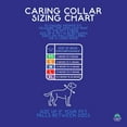 thumbnail image 3 of Calm Paws Dog Caring Collar W/Calming (Medium), 3 of 4