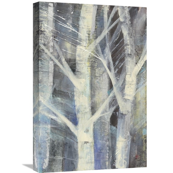 Global Gallery Albena Hristova 'Winter Birches II' Canvas Wall Art