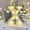 X, variant on Light up Letter LED 8.6inch Alphabet Number Symbol Plastic Battery Operated Party Sign Wedding Festival Stand Decoration Christmas Party, Bar, Night Light, Home Decor (Letter H)