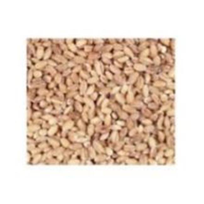 Bulk Grains 100 Organic Hulled Barley Bulk 5 Lbs