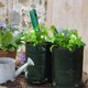 thumbnail image 2 of Bolsa de cultivo de patatas para jardín, 2 unidades, tejido de polietileno, para jardinería, maceta gruesa, para verduras, con asas, color verde oscuro, verde oscuro, 2 of 5