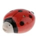 thumbnail image 3 of Ocarina Hugo 6 Hoyos Cerámico Alto C Viento Rojo, 3 of 7