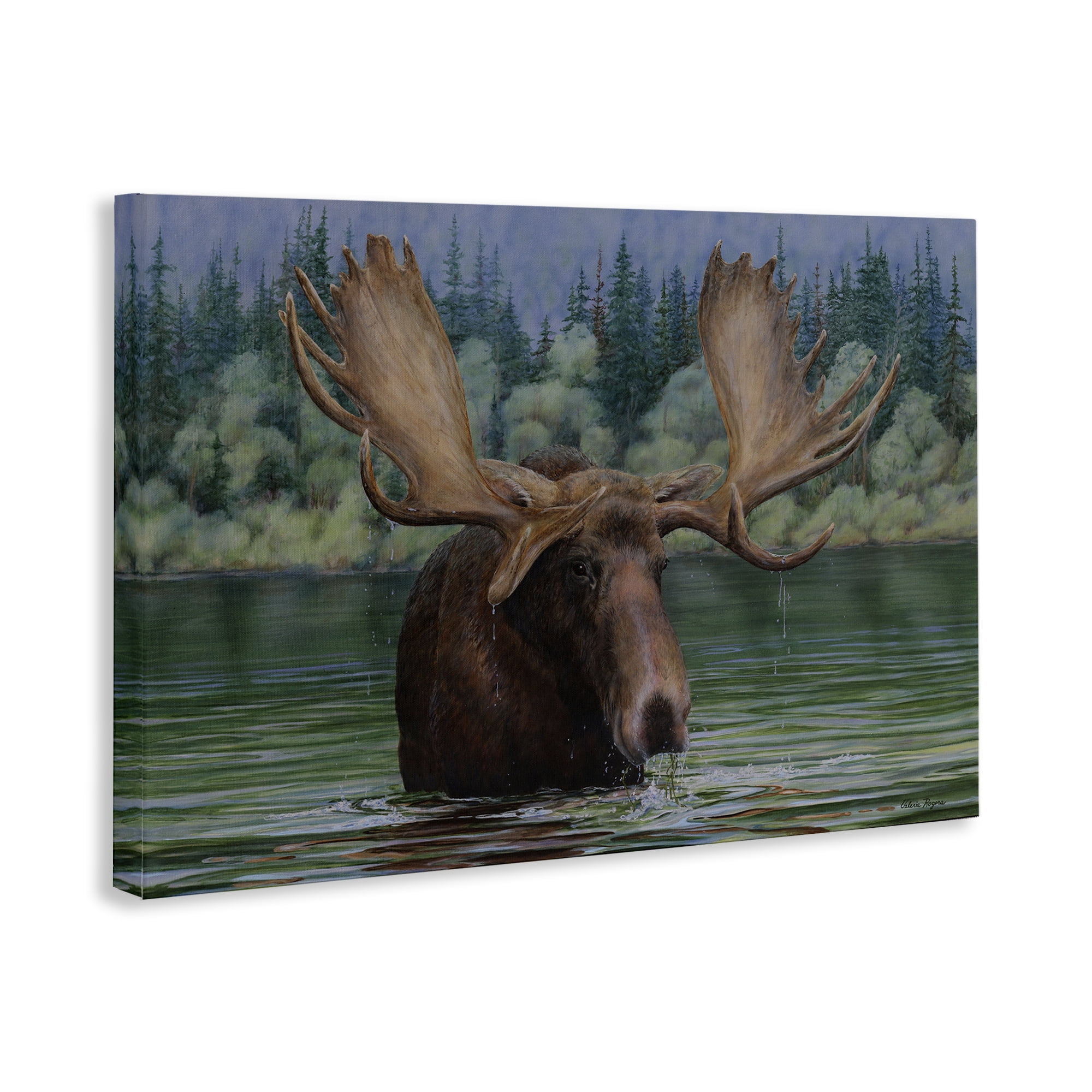 Stupell Industries Moose Swimming in Lake Animals Painting Wrapped Canvas Art Print Wall Art, 24 x 16