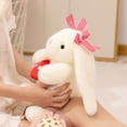 thumbnail image 4 of UQVIY Love Bunny Stuffed Animals Holds Red Heart 10.2" Cute Rabbit Plushies Soft Plush Toys Romantic Sweet Gifts for Valentine's Day, Birthdays, and Anniversaries, 4 of 12