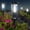 02, variant on Solar Pathway Lights, 2 Pack Solar Lights Outdoor Waterproof IP65, Auto On/Off Pathway Landscape Lighting, Outdoor Light for Yard Garden Walkway Landscape Lawn Patio Lighting