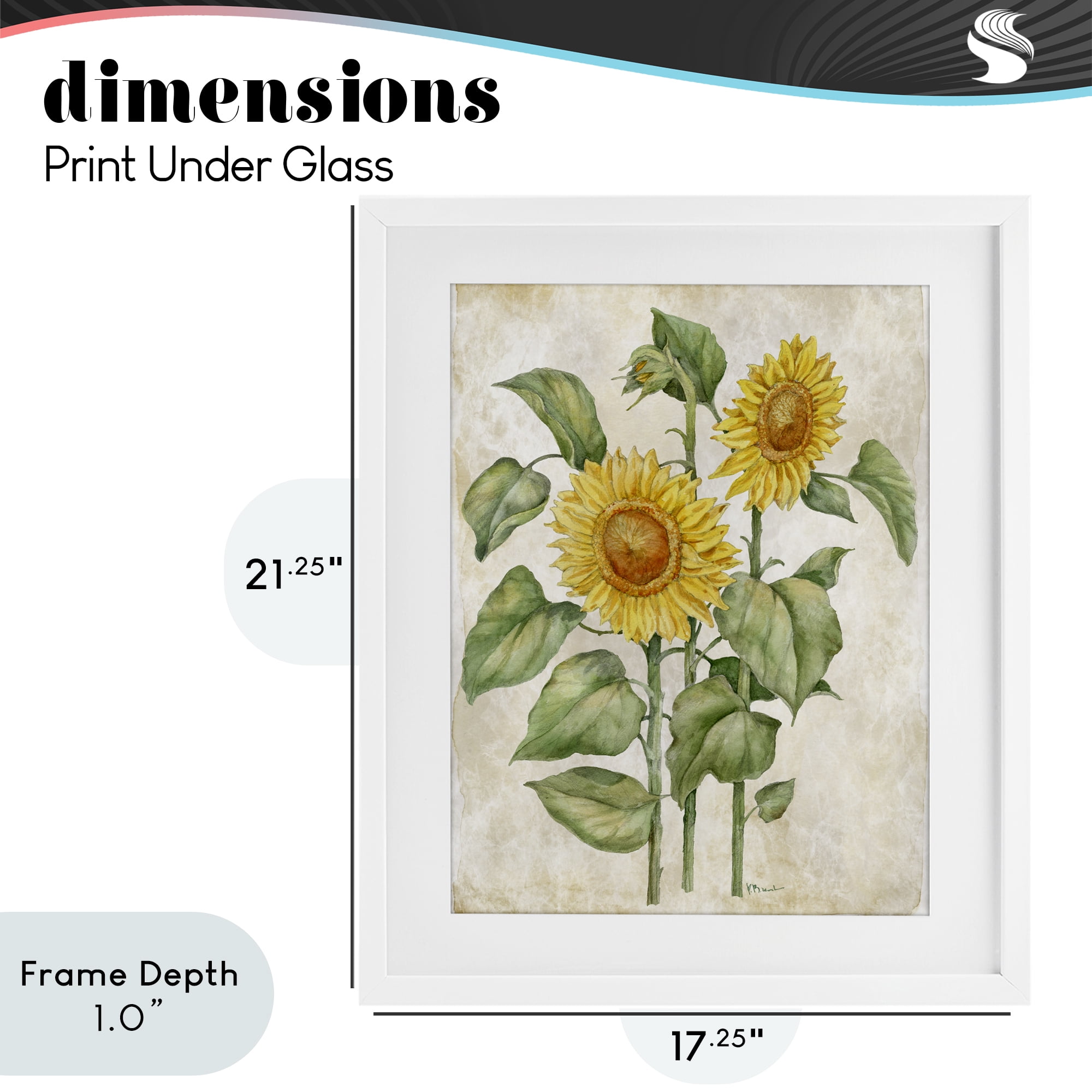 Stupell Industries Floral Journal Vintage Sunflower White Framed Print Under Glass, design by Paul Brent