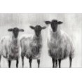 thumbnail image 2 of Art.com Rustic Sheep I Stretched Canvas Print Wall Art by Ethan Harper, 18" x 12", 2 of 4