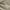 Neutral, variant on Regency Heights Adult Twin Duvet Cover, Waffle Weave Textured Twin Bedding Set, Light Grey, Twin/Twin-XL, 2-Piece
