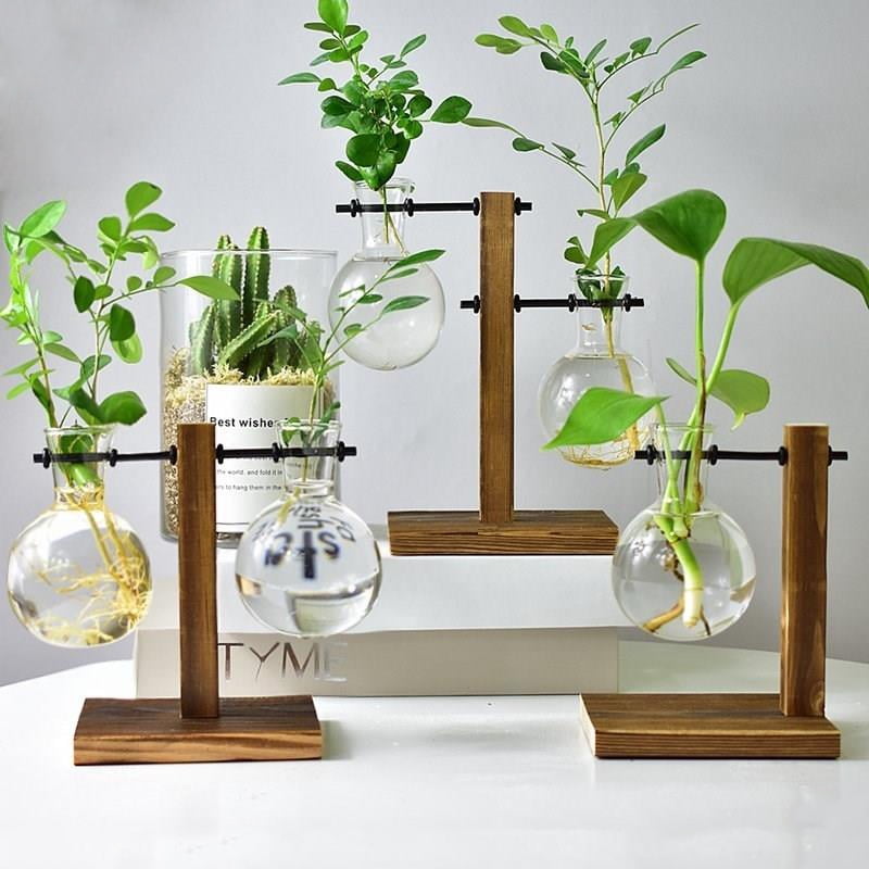 Tabletop Desk Decor Bulb Glass Hydroponic Vase Flower Plant Pot Wooden Tray HOT 