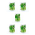thumbnail image 2 of Toystoory Plantas de flores secas Fabricación en seco para funda de teléfono móvil DIY Hogar Boda Epoxi Colgante Anillo Accesorio type8 Type1 NO1, 2 of 6