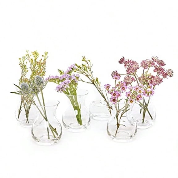George Glass Bottle Flower Vases Set of 6 Small Elegant Clear Glass Bud Vases Bulk Pack for Home Decor Table Centerpieces Shape 4 Oval 4 Tall 3 Wide