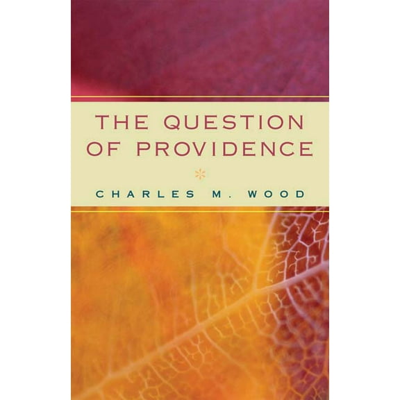 Question of Providence (Paperback)