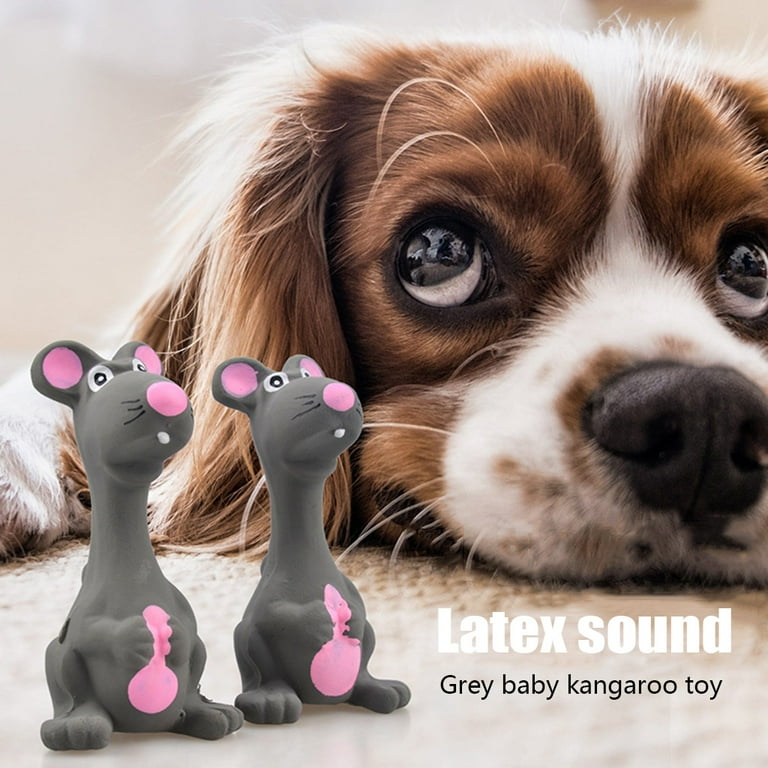 Squeaky mouse top dog toy
