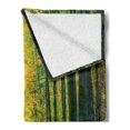 thumbnail image 2 of Forest Soft Flannel Fleece Throw Blanket, Pathway in Autumn Dramatic Road to Infinity Toned Warm Fall Colors Rural Scenery Print, Cozy Plush for Indoor and Outdoor Use, 60" x 80", Green, by Ambesonne, 2 of 5