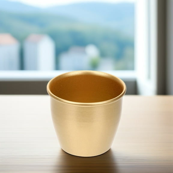 BESTOYARD Flower Pot Decoration Indoor Metal Planter Golden Iron Round Container for Office 1Pack