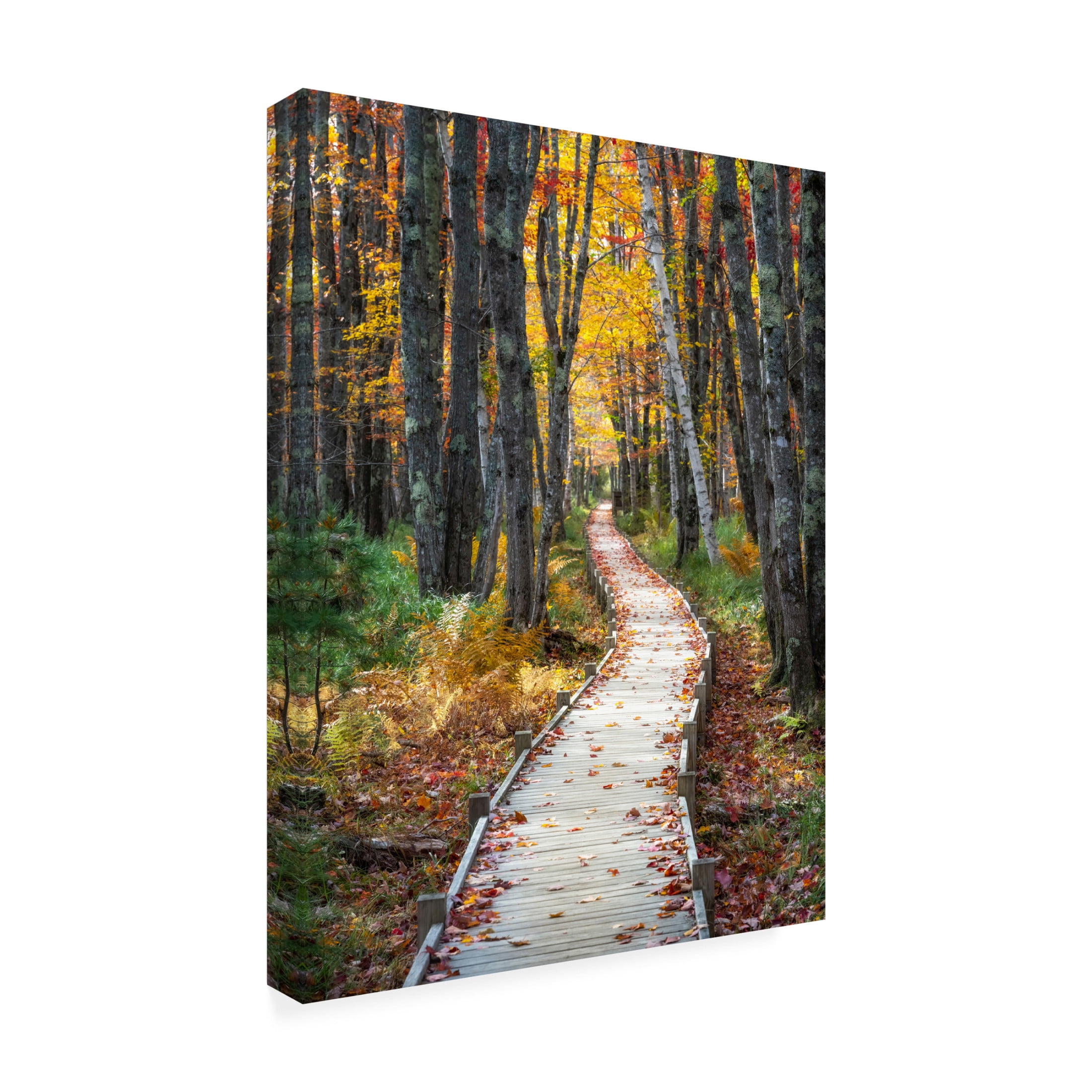 Canvas Wall Art - Danny Head 'Autumn Boardwalk I' Wall Art for Living Room, Bedroom, or Office Décor by Trademark Fine Art - 18 x 24 Inches