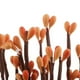 thumbnail image 3 of Primitive Pip Garnd en multicolor / verde / rojo / naranja / beige Zulema Artificial Berry Garland, 3 of 7
