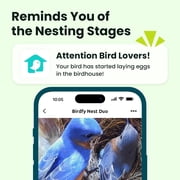 Netvue Birdfy® Bird House with Camera, 1080P Dual-Camera Lifetime AI Identify Bird Nesting and Hatching Feeding Behavior with Automatic Notification, Great Gift for Everyone