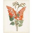 thumbnail image 3 of Unknown 12x14 Black Modern Framed Museum Art Print Titled - Botanical of the Tropics II, 3 of 5