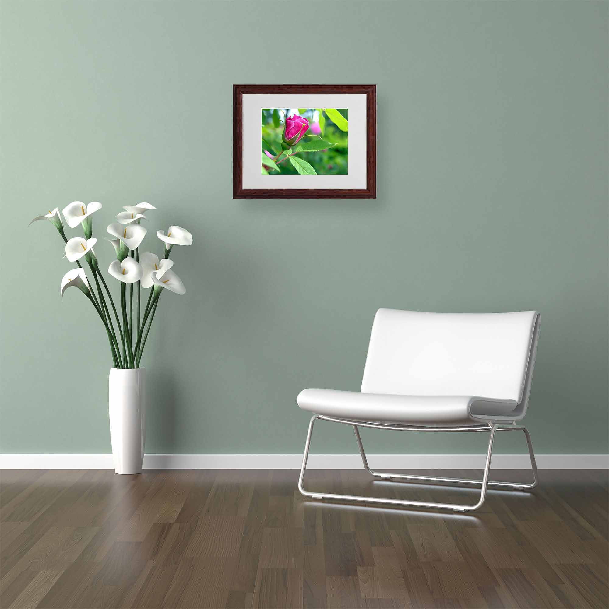 Trademark Fine Art "Unfolding Transformation" Canvas Art by Monica Fleet, White Matte, Wood Frame