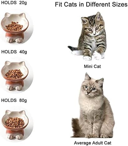 Elevated Cat/Dog Bowls Set : 5 Inch Ceramic Raised Cat Food & Water Bowl Set for Protecting Pet's Spine - Feeding & Watering Supplies for Pets - Elegant Brown (2 PC)