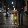 thumbnail image 6 of Reflector Pendant Dog - Double-sided Reflective Pet Collar Tag Charm Night Safety Visibility Accessory for Dogs Cats Outdoor Walking Glow in Dark Hanging Decoration Pet Backpack Keychain B, 6 of 6