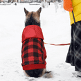 thumbnail image 6 of QBLEEV Etra Warm Fleece Lined Dog Coat for Small Medium Dogs, British Style Plaid Dog Hoodie with Leash Hole for Cold Weather/Winter/Christmas Dog Apparel Red，M, 6 of 6