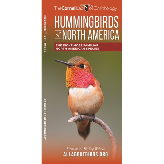 Pre-Owned Wildlife and Nature Identification: Hummingbirds of North America : The Eight Most Familiar North American Species (Other)