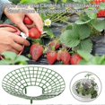 thumbnail image 2 of Strawberry Supports Stand 10pcs Strawberry Plant Supports Cages Climbing Trellis Strawberry Rack Frame Holder Balcony Planting Rack Fruit Support Gard, 2 of 5