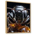 thumbnail image 2 of Designart "Delicate Explorer Ant I" Animals Floater Framed Canvas Print, 2 of 7