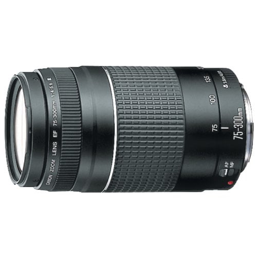 Canon Ef 75 300mm F 4 5 6 Iii Telephoto Zoom Lens For Canon Slr Cameras Walmart Com