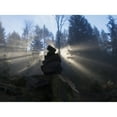 thumbnail image 2 of Posterazzi DPI12271183LARGE Sun Shines Through An Ishigumi in Fog & Forest - Vancouver Island British Columbia Canada Poster Print - 34 x 26 in. - Large, 2 of 4