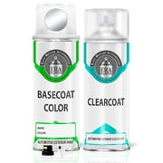 ERA Paints TN - Silver Gray Metallic for FORD Exact Match Touch Up Paint Spray - Essential Kit