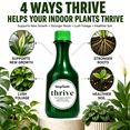 thumbnail image 2 of Biogrowth Organics Thrive Plant Food & Vitamin Supplement (8.45oz), Enzyme-Powered Root & Bud Booster with Humic Acid & B-Vitamins, Suitable for Hydroponics, Indoor & Outdoor Plants, 2 of 10