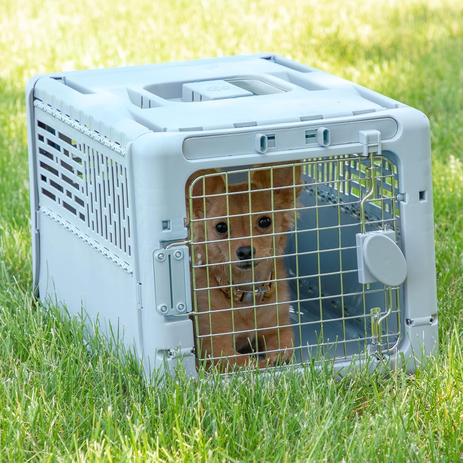 Collapsible X-small Pet Travel Carrier (blue)  Hard-sided Kennel For Small Dogs Puppies Cats Kittens Animals Up To 20lbs Washable Home & Outdoor Crate 19.6"l X 13.5"w 12"h