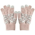 thumbnail image 1 of Woman Winter Gloves Fashion Leopard Print Thermal Gloves Texting Gloves for Work, 1 of 10
