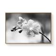 thumbnail image 2 of wall26 Floating Framed Canvas Wall Art for Living Room, Bedroom Black Flower Canvas Prints for Home Decoration Ready to Hang - 16x24 inches, 2 of 4