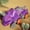 Purple, variant on VVQ Push Sliding Stunt Car with Variable Form, Inertial Stunt Car with Cool Appearance Interactive Play, Push Cars for Entertainment with Rubber Tires, Blue
