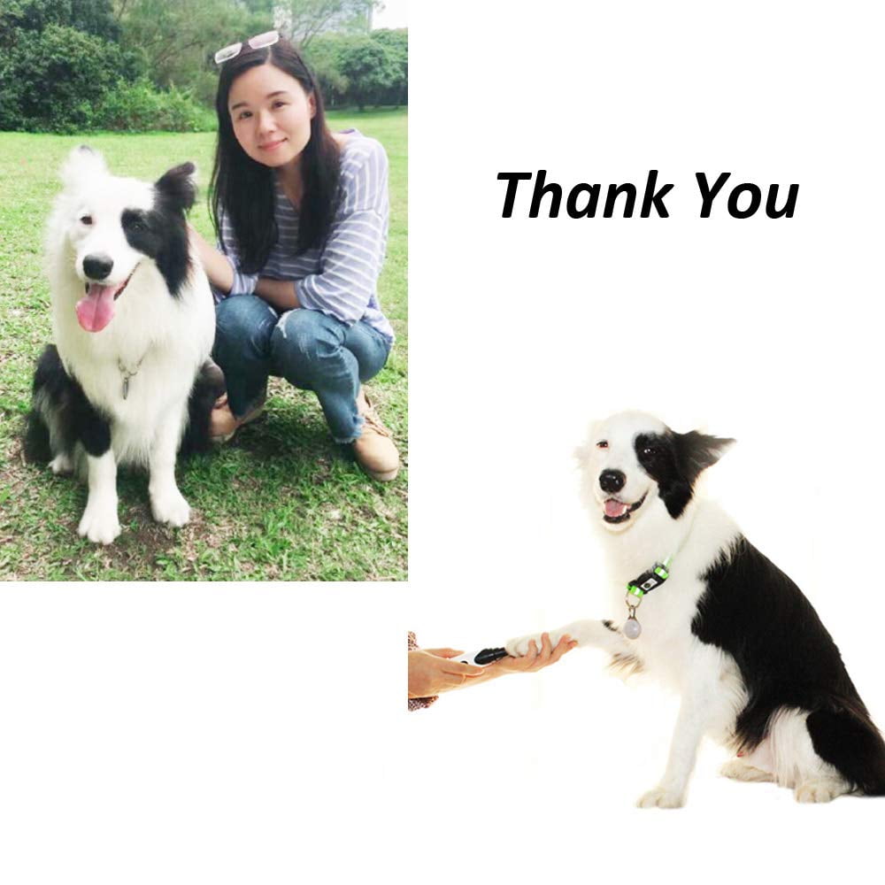 painless dog nail clippers