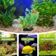 thumbnail image 4 of BEADCEST 2Ud Decorativas Para De Peces Con Material Premium Sin Para, 4 of 6