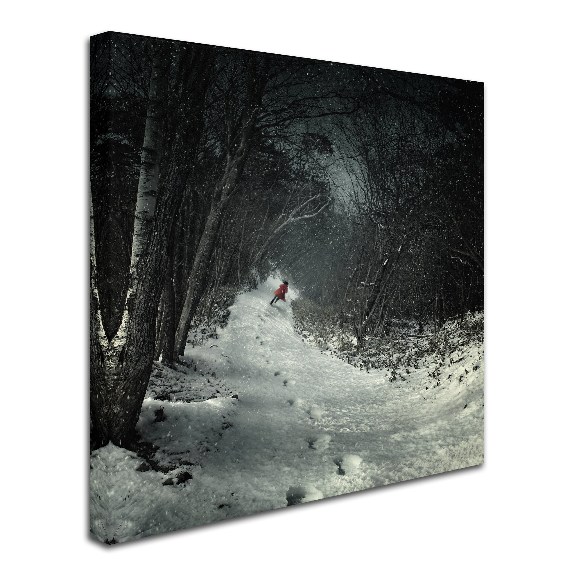 Trademark Fine Art 'Into The Winter Forest' Canvas Art by Kiyo Murakami
