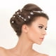 thumbnail image 4 of AURARMLET 8Ud Clips De Plateados Con Para Estilo Firme En Eventos Y Ocasiones, 4 of 7